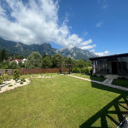 Casuta Doi Ponei Villa Buşteni Exterior foto