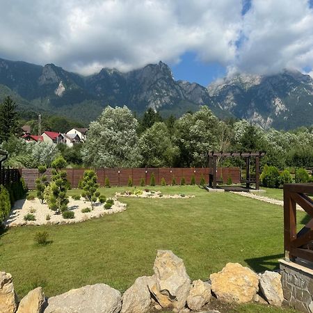 Casuta Doi Ponei Villa Buşteni Exterior foto
