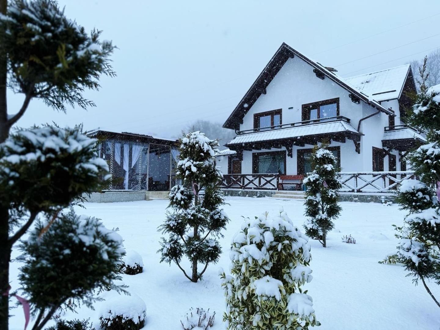 Casuta Doi Ponei Villa Buşteni Exterior foto